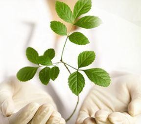 2015-04-22 13;52;37.JPG