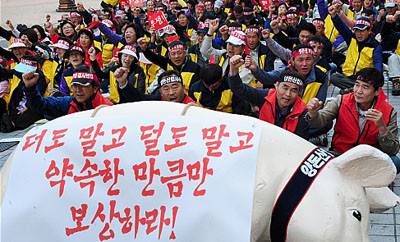 돼지.jpg