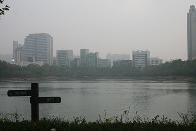 suk1.JPG