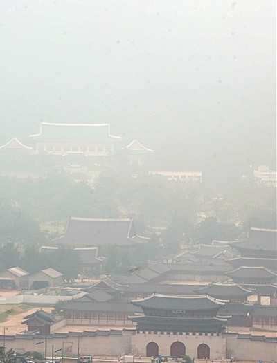청와대.jpg