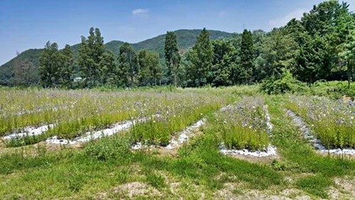05.jpg