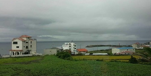121.JPG