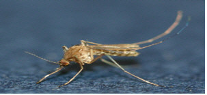 PS17040400744.jpg