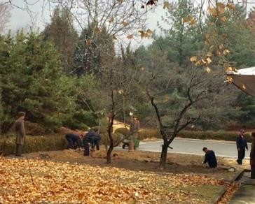 2017-11-26 10;49;35.JPG