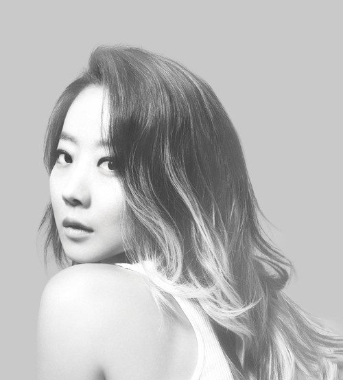 양파.jpg