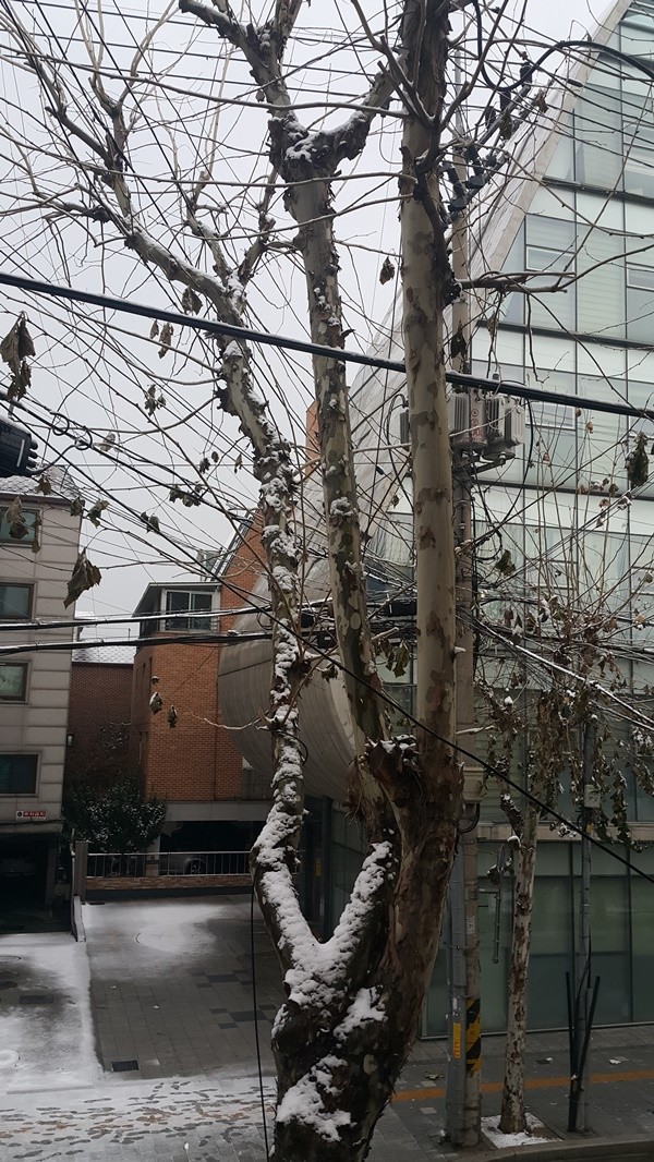 20171210_081637.jpg