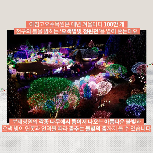 9_600.jpg