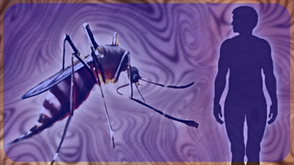 20190424_102617.png