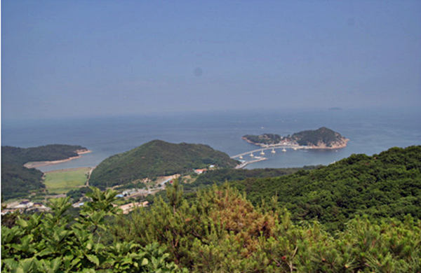 20190719_102335.png