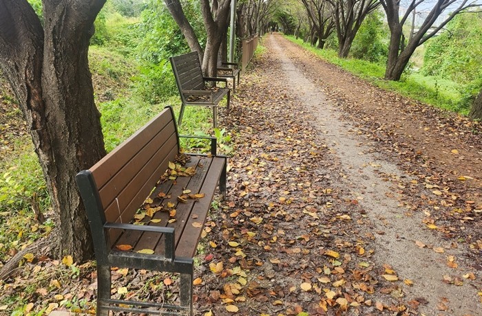[포토] 긴 추석 연휴의 마지막 날…가을 감성 가득한 '수원 황구지천'