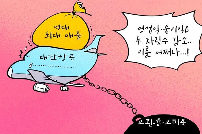 [데일리-경제만평] 대한항공, 지난해...