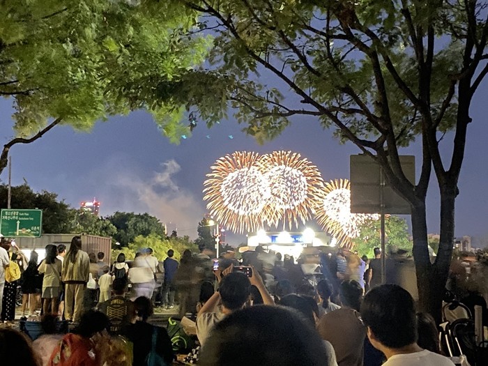 [포토] 여의도 밤하늘 수놓은 화려한 '불꽃의 향연'…'2026 서울세계불꽃축제'